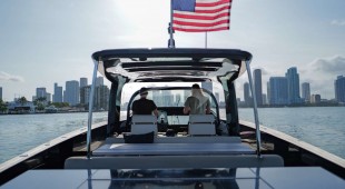 Merlin East Coast United States