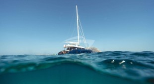 Mischievous Caribbean