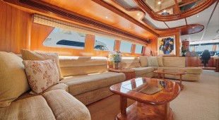 Money Cat West Coast United States