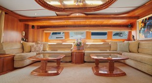 Money Cat West Coast United States