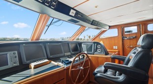 Money Cat West Coast United States