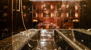 Money Cat West Coast United States