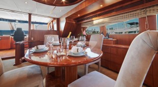 Money Cat West Coast United States