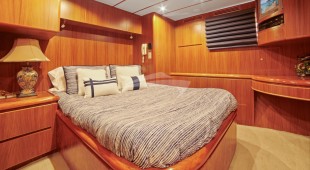 Money Cat West Coast United States