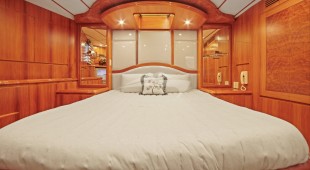 Money Cat West Coast United States