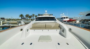 Money Cat West Coast United States