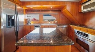 Money Cat West Coast United States