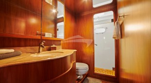 Money Cat West Coast United States