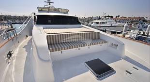 Money Cat West Coast United States