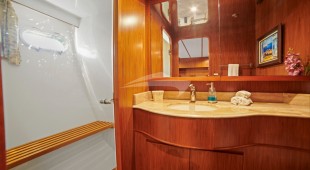 Money Cat West Coast United States