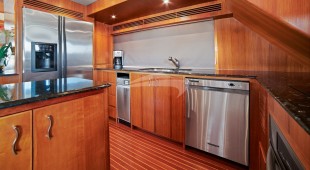 Money Cat West Coast United States