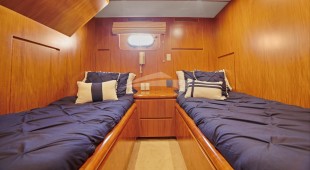 Money Cat West Coast United States