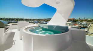 Money Cat West Coast United States