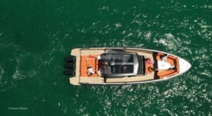 Money Penny East Coast United States