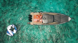 Money Penny East Coast United States