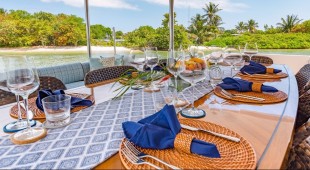 Mucho Gusto Caribbean