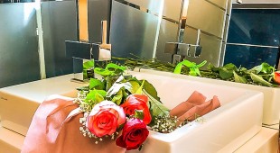 Mystique East Mediterranean, West Mediterranean