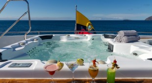 Natural Paradise West Coast South America
