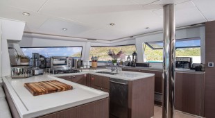 Nauti Dogs 5.4 Caribbean