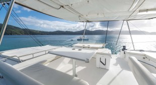 Nauti Dogs 5.4 Caribbean