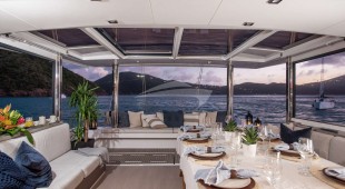 Nauti Dogs 5.4 Caribbean