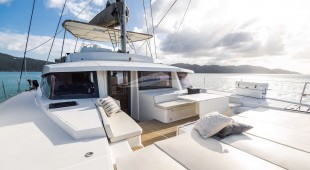 Nauti Dogs 5.4 Caribbean