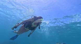 Nauti Nickel Caribbean