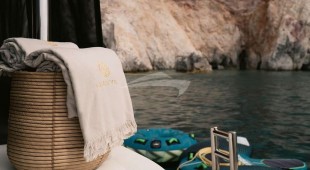 Navya East Mediterranean