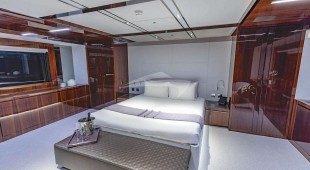 No Surrender Caribbean, East Coast United States