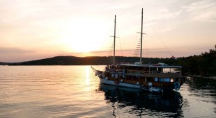 Novi Dan Croatia, Adriatic Sea, Croatia - Skradin