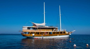 Novi Dan Croatia, Adriatic Sea, Croatia - Skradin