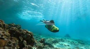 Ocean Club Caribbean