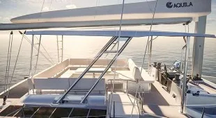 Ocean Kitty Caribbean