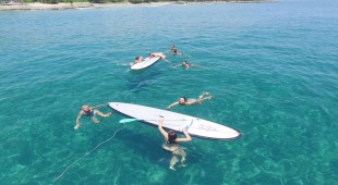 Ocean Phoenix Central America