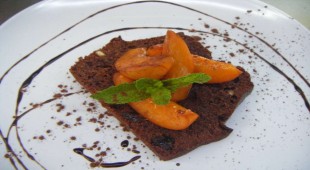 Ocean Phoenix Central America