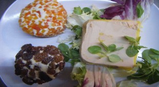 Ocean Phoenix Central America