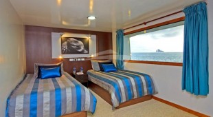 Elite West Coast South America, East Coast South America