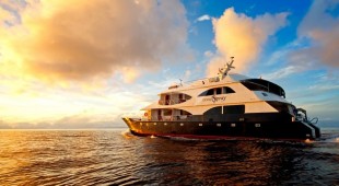 Elite West Coast South America, East Coast South America