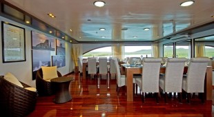 Elite West Coast South America, East Coast South America