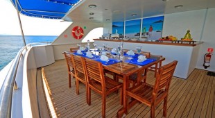 Elite West Coast South America, East Coast South America