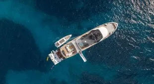Oculus Oceania, Caribbean