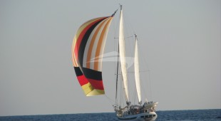 Onfekomonadi East Mediterranean