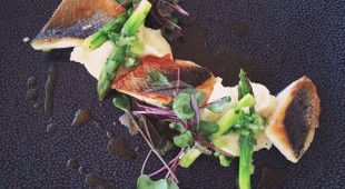 Opal East Mediterranean