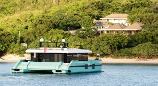 Orca Bahamas, Caribbean Virgin Islands (BVI)