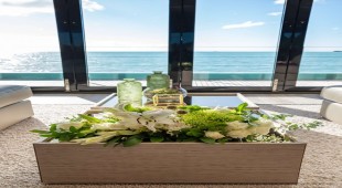 Orca Bahamas, Caribbean Virgin Islands (BVI)