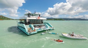 Orca Bahamas, Caribbean Virgin Islands (BVI)