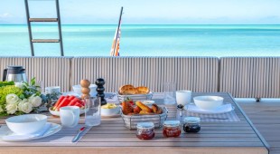 Orca Bahamas, Caribbean Virgin Islands (BVI)