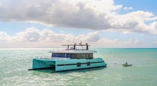 Orca Bahamas, Caribbean Virgin Islands (BVI)