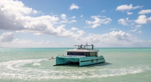 Orca Bahamas, Caribbean Virgin Islands (BVI)