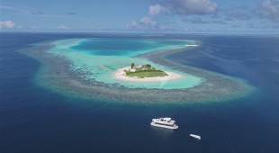 Over Reef Indian Ocean